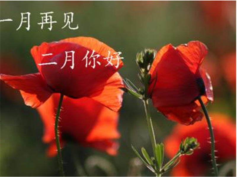 一月再見(jiàn)，美好的二月你好啊